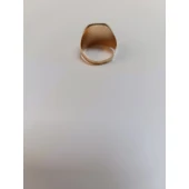 Ghiul Din Aur Proba 585* 4.86gr