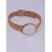 Ceas Daniel Wellington