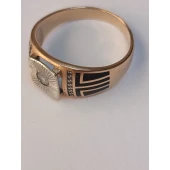 Ghiul din Aur Proba 585* 6.64 gr