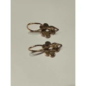 Cercei Din Aur Proba 583* 3.23gr