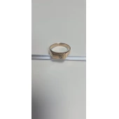 Ghiul Din Aur Proba 585 4.02gr