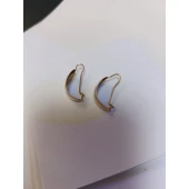 Cercei Din Aur Proba 585* 3.23 gr