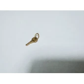 Pandantiv Din Aur Proba 585 0,44 gr