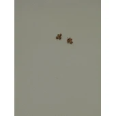 Cercei Din Aur Proba 585 0.68 gr