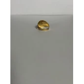 Ghiul Din Aur Proba 585* 4.70 gr