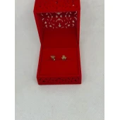 Cercei Din Aur Proba 585 0.68 gr