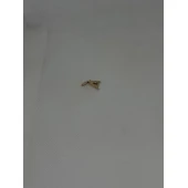 Pandativ Din Aur Proba 585 1.05 gr