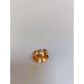 Ghiul Din Aur Proba 585* 4.86gr