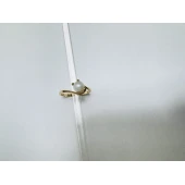 Inel Din Aur Proba 585 2.21 gr