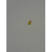 Pandativ Din Aur Proba 750 0.99 gr