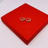 Cercei 585.pret 2718lei