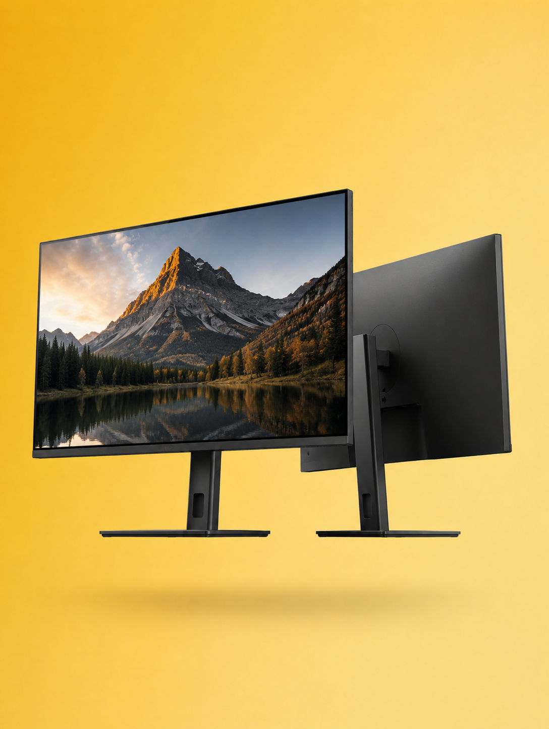 TV, Monitor