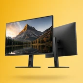 TV, Monitor